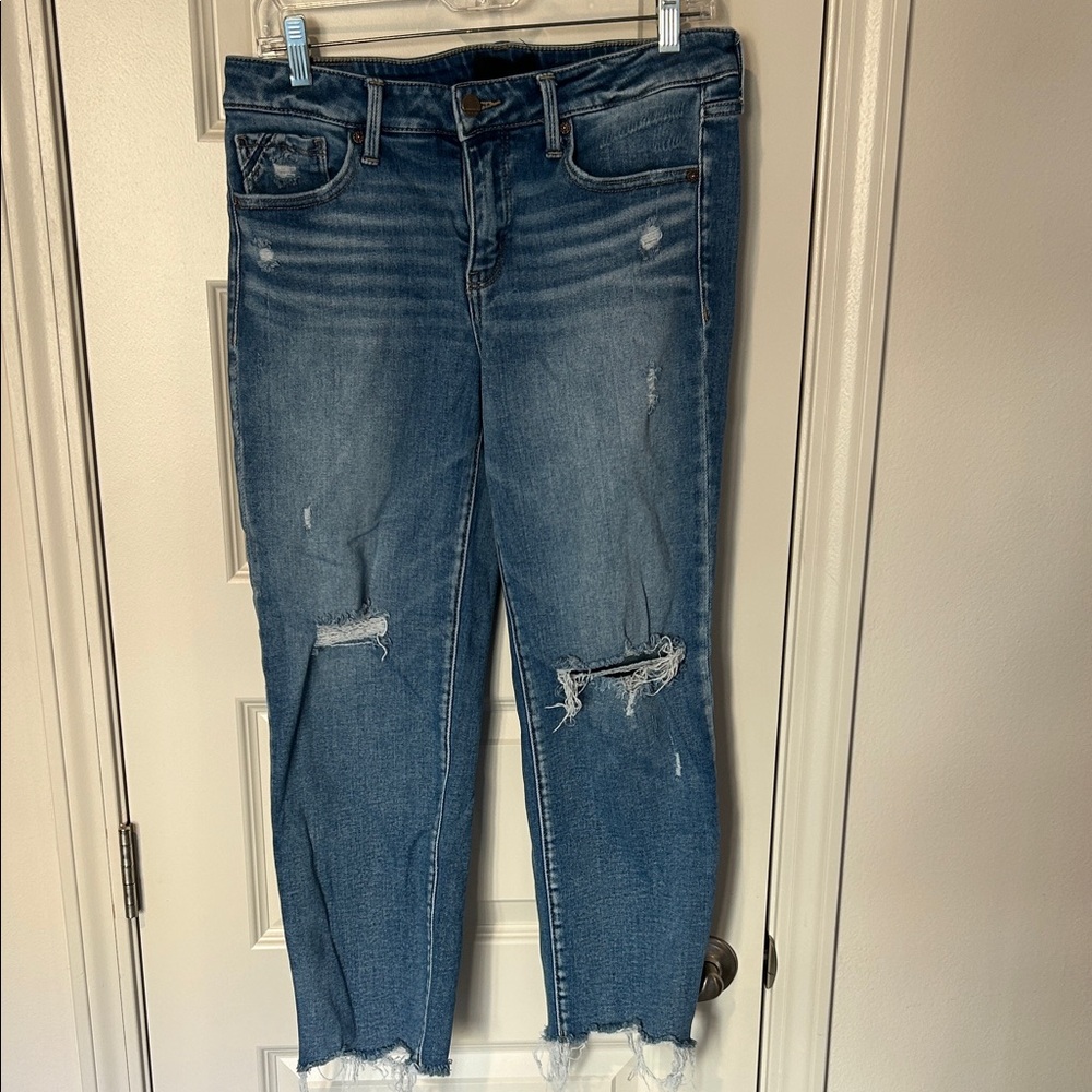 Buckle Black Blue Distressed Ankle Jeans